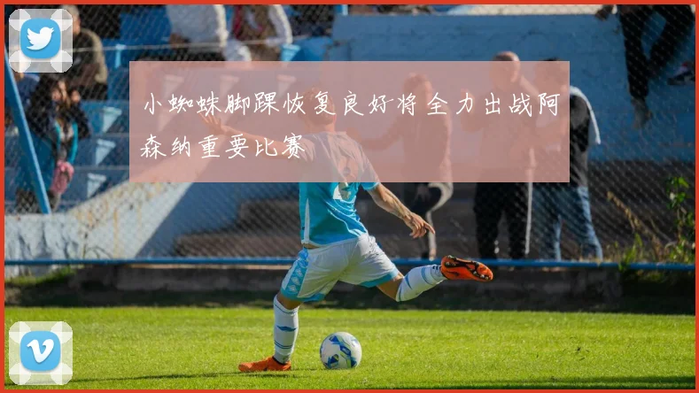 小蜘蛛脚踝恢复良好将全力出战阿森纳重要比赛